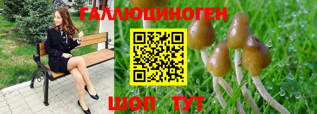 Егорьевск  Галлюциногенные грибы GOLDEN TEACHER  Вход с VPN 